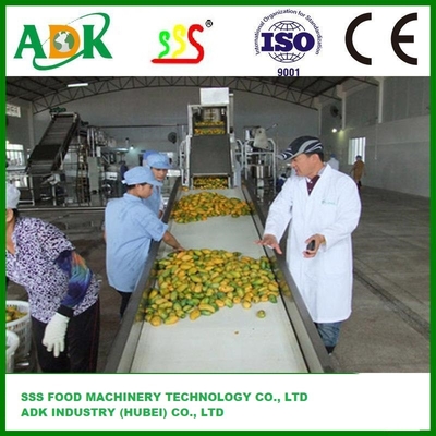 Efficient Orange Mango Pineapple Fruit Juice Production Line With Automatic Grade