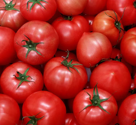 De automatische Productielijn van de Tomatenketchup 6,5 Ton per Uur