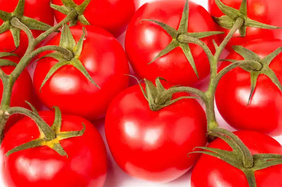 High Capacity Fresh Tomato Puree Processing Line Customization
