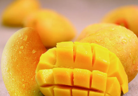 Small Scale Fresh Juice Mango Processing Plant 2t/H