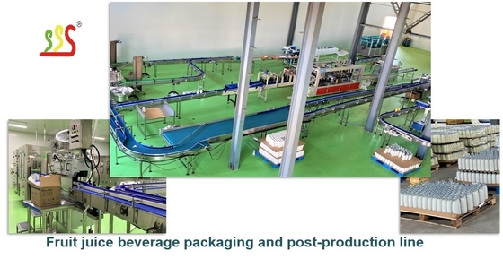 Low Power Consumption Juice Making Machine For Fruit And Vegetable Processing Line