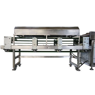 50hz tortilla productielijn uitgerust voor de productie van tortilla's in voedselverwerkende fabrieken