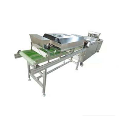 Zilveren commerciële tortilla-machine Automatische kwaliteit Automatische enkelvoudige rij