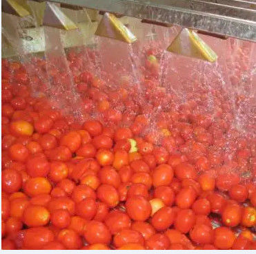 Automatische de Lijnhoge snelheid van de Tomatenpureeverwerking