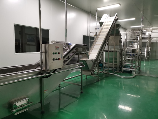 220V / 380V / 415V Mango Processing Line With Capacity 300 - 500kg/H Or Customization