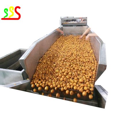 De geconcentreerde Productielijn van de Fruitpulp voor Blueberrues-Aardbeienframbozen