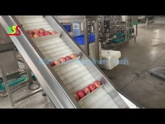 Geconcentreerde de Productielijn Hoge Capaciteit van de Fruitpulp