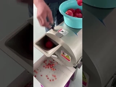fruit en plantaardige snijmachine